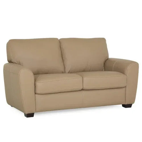 Connecticut Contemporary Loveseat with Rounded Track Arms by Palliser