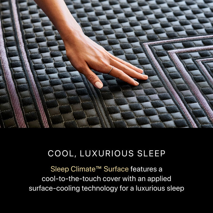 Black Series Two 13.5" Hybrid Plush Mattress by Beautyrest