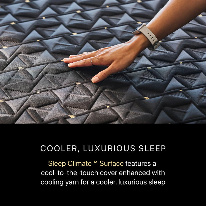 Black Series Four 16" Hybrid Plush Apex Pillow Top Mattress by Beautyrest
