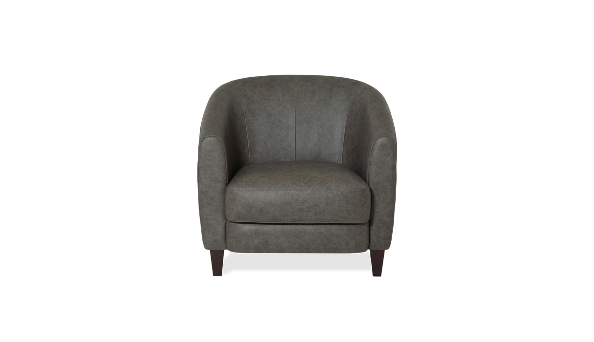 Dorset Accent Chair by Palliser