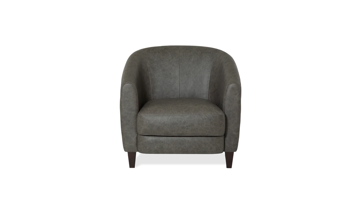 Dorset Accent Chair by Palliser