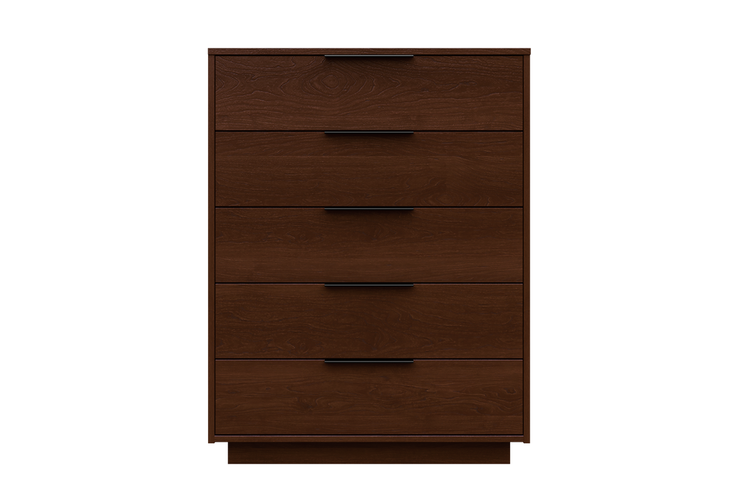 Swanton 5-Drawer Chest by 802 Furniture