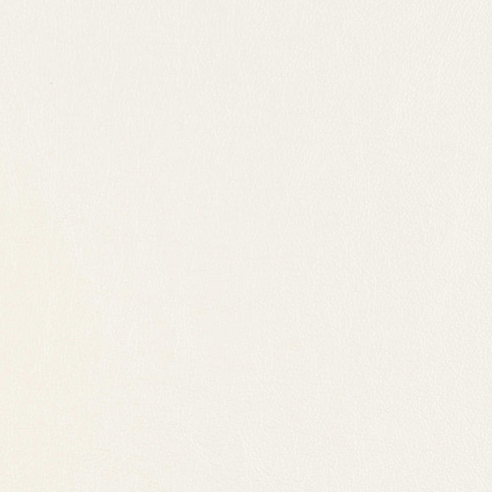 La-Z-Boy fabric swatch Cozy Match Oyster (BL981031)