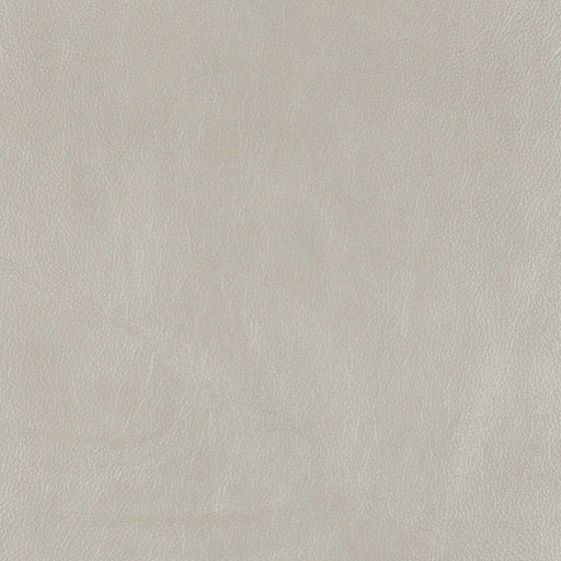 La-Z-Boy fabric swatch Cozy Match Dusty (BL981051)
