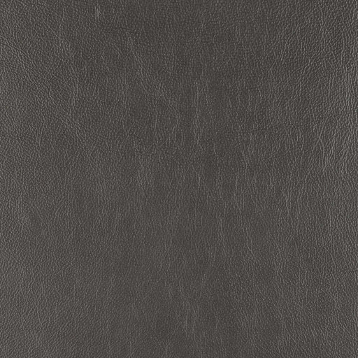 La-Z-Boy fabric swatch Cozy Match Grey (BL981056)