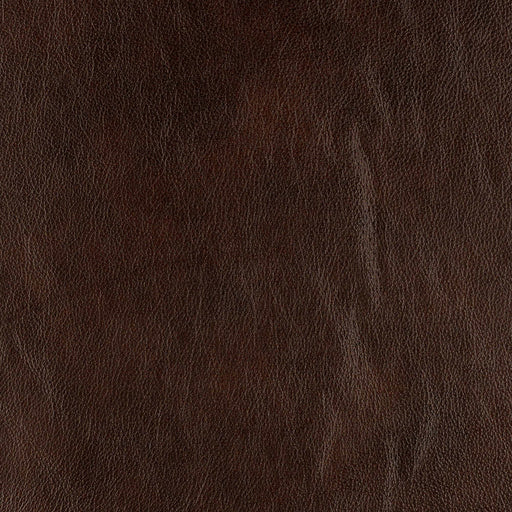 La-Z-Boy fabric swatch Cozy Match Tobacco (BL981078)
