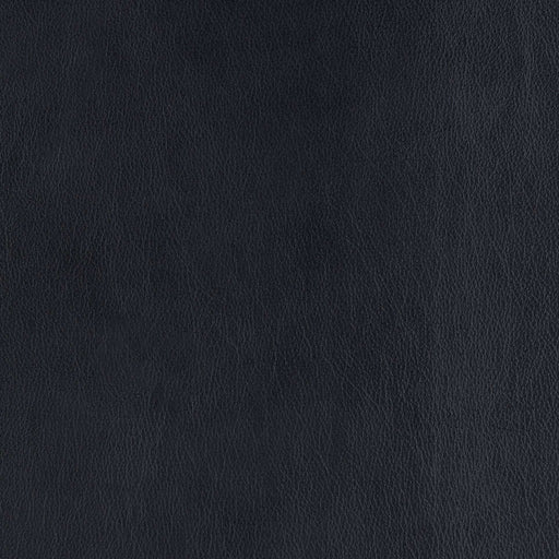 La-Z-Boy fabric swatch Cozy Match Blueberry (BL981087)