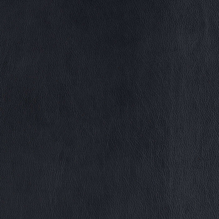La-Z-Boy fabric swatch Cozy Match Blueberry (BL981087)