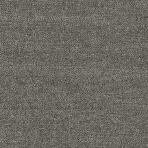 La-Z-Boy fabric swatch Bartaloni Flannel (C175753)