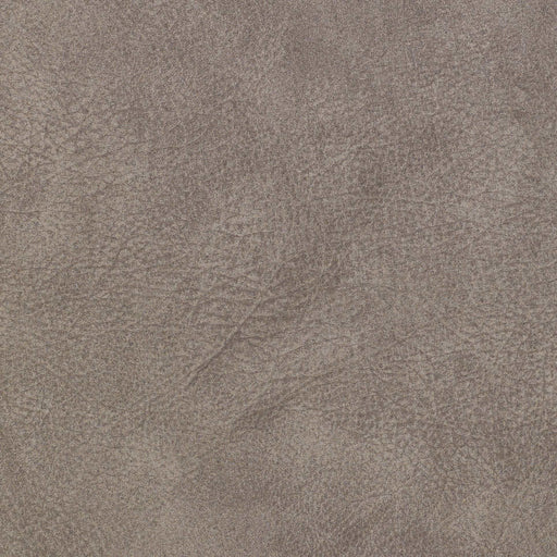 La-Z-Boy fabric swatch Tennant Mushroom (C203766)