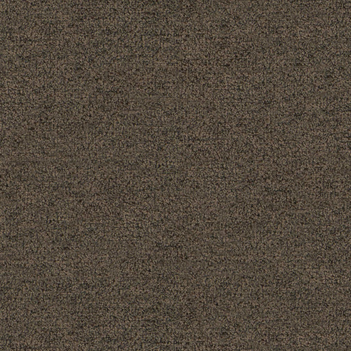 La-Z-Boy fabric swatch i-Halifax Java (D160678)