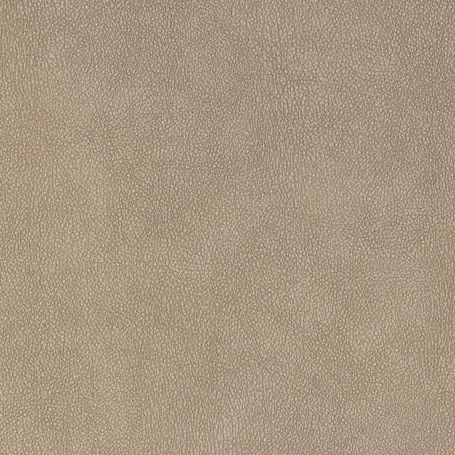 La-Z-Boy fabric swatch i-Weekend Buff (D202732)