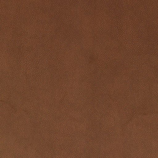 La-Z-Boy fabric swatch i-Weekend Chestnut (D202775)