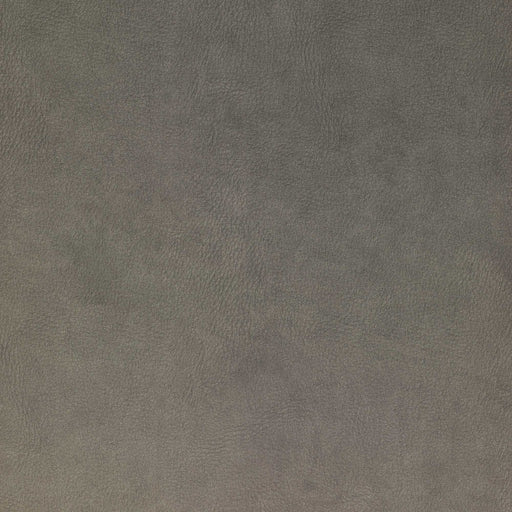 La-Z-Boy fabric swatch i-Kudos Lead (D206659)