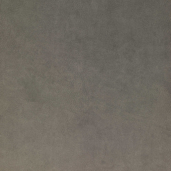 La-Z-Boy fabric swatch i-Kudos Lead (D206659)