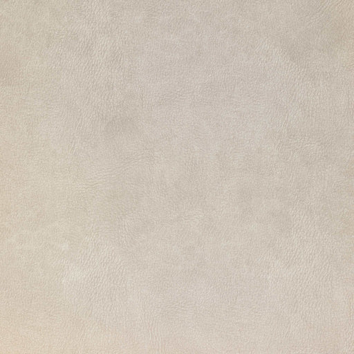 La-Z-Boy fabric swatch i-Kudos Oyster (D206661)