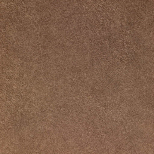 La-Z-Boy fabric swatch i-Kudos Tawny (D206667)