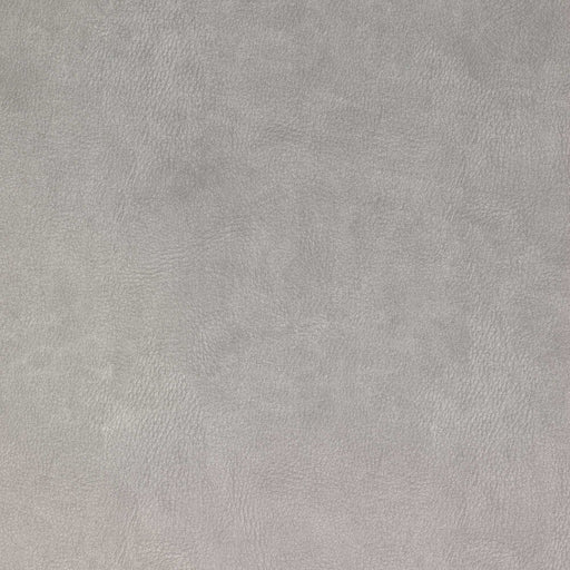 La-Z-Boy fabric swatch i-Kudos Powder (D206680)