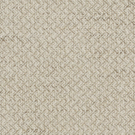 La-Z-Boy fabric swatch Pebble (D206860)
