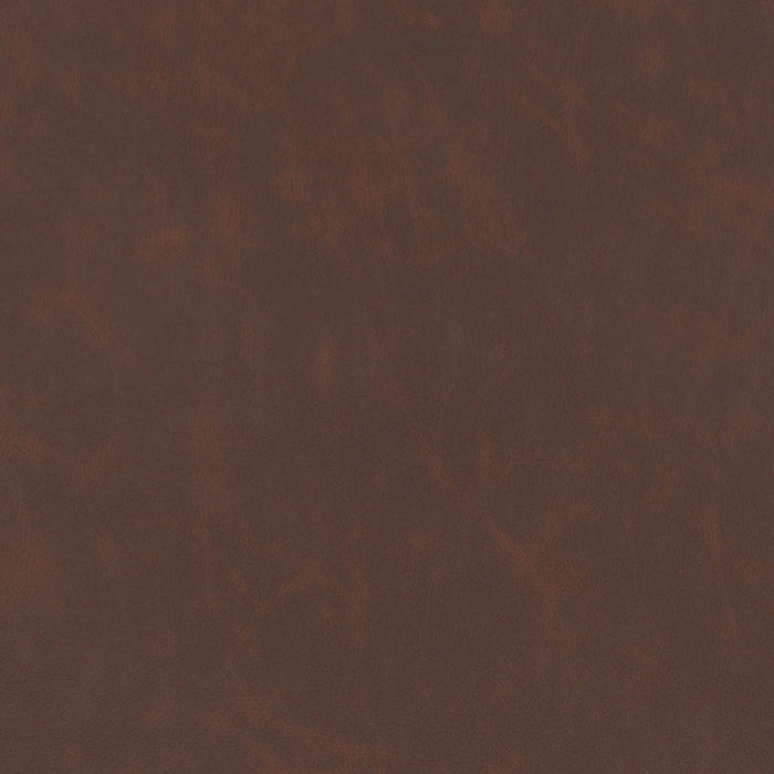 La-Z-Boy fabric swatch Jazz Cinnamon (DL196275)