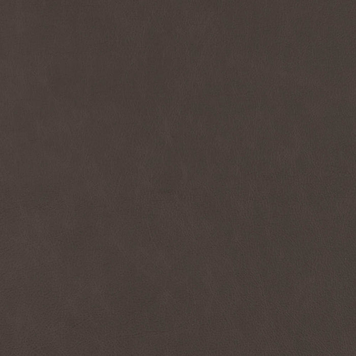 La-Z-Boy fabric swatch Jazz Coffee (DL196278)
