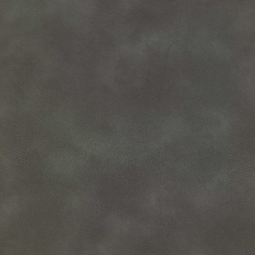 La-Z-Boy fabric swatch Omni Slate (E203659)