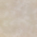 La-Z-Boy fabric swatch Omni Taupe (E203661)
