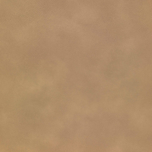 La-Z-Boy fabric swatch Omni Cashew (E203675)