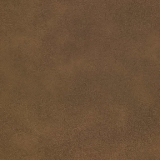 La-Z-Boy fabric swatch Omni Otter (E203678)