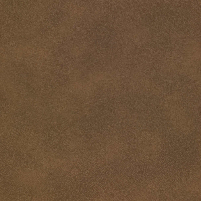 La-Z-Boy fabric swatch Omni Otter (E203678)