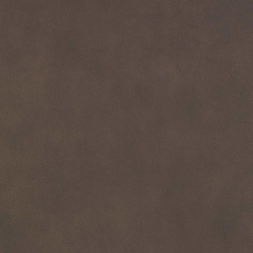 La-Z-Boy fabric swatch Aline Chocolate (FL190777)