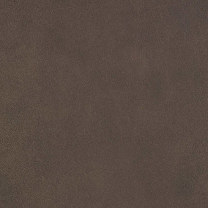 La-Z-Boy fabric swatch Aline Chocolate (FL190777)
