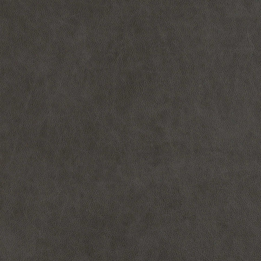 La-Z-Boy fabric swatch Athena Blackstone (FL193259)