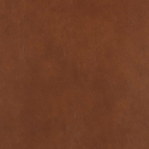 La-Z-Boy fabric swatch Gramado Russet (FL196373)