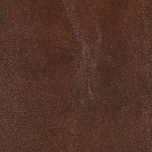 La-Z-Boy fabric swatch Gramado Cedar (FL196376)
