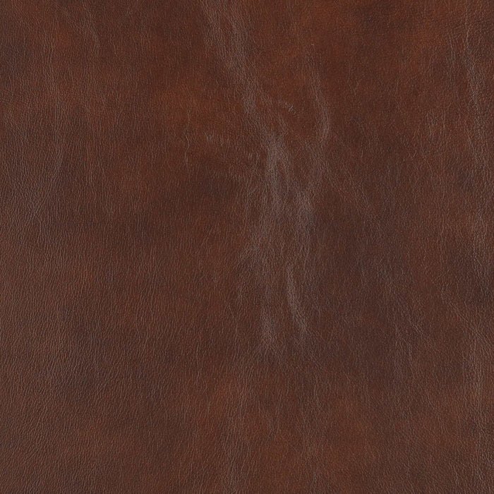 La-Z-Boy fabric swatch Gramado Cedar (FL196376)