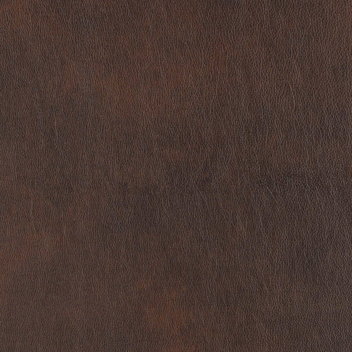 La-Z-Boy fabric swatch Gramado Coffee (FL196379)