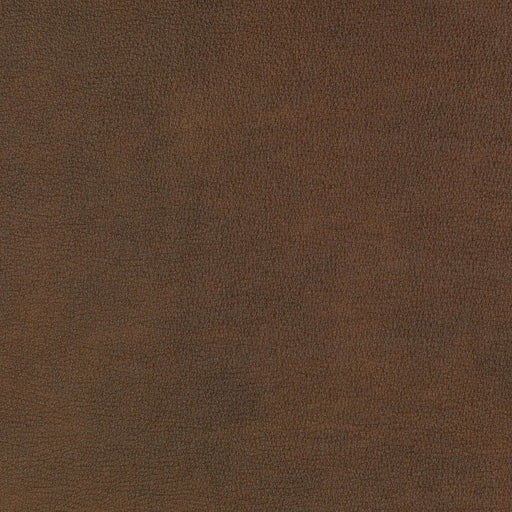 La-Z-Boy fabric swatch Jesi Sepia (FL200377)