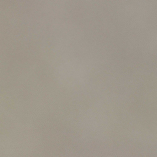 La-Z-Boy fabric swatch Jesi Dove Grey (FL202651)