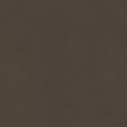 La-Z-Boy fabric swatch Jesi Otter (FL202659)