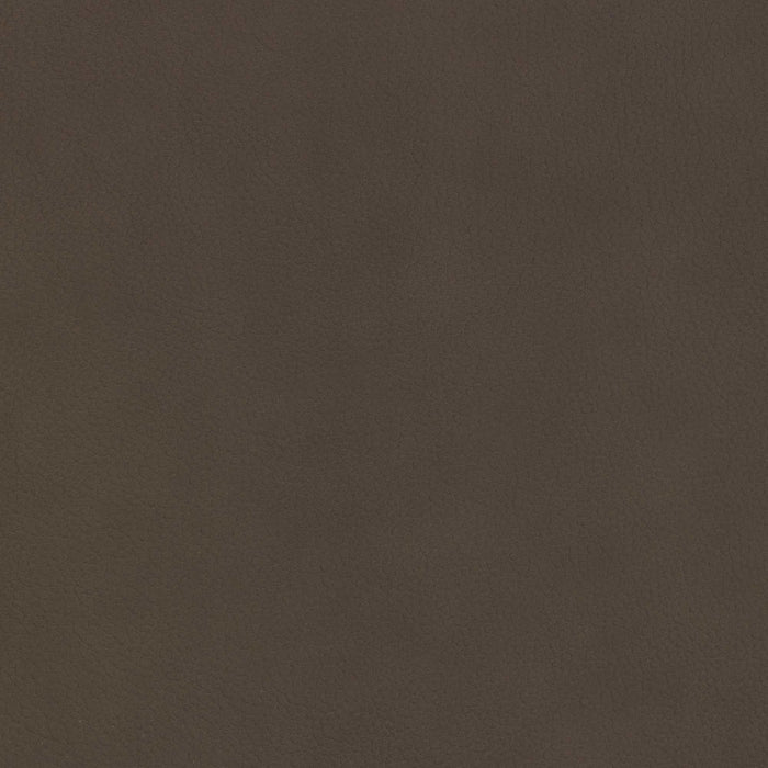 La-Z-Boy fabric swatch Jesi Otter (FL202659)