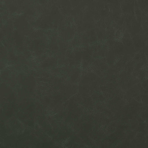 La-Z-Boy fabric swatch Envy (FL207829)