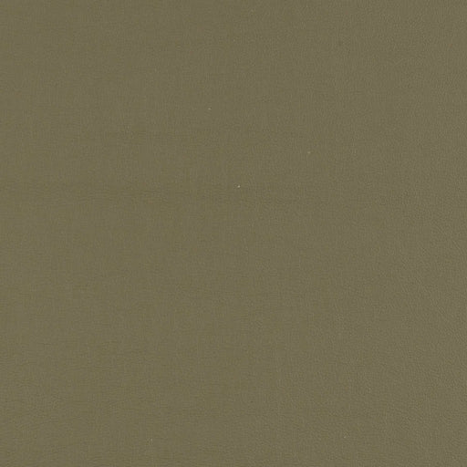 La-Z-Boy fabric swatch Samba Sage (FL941926)