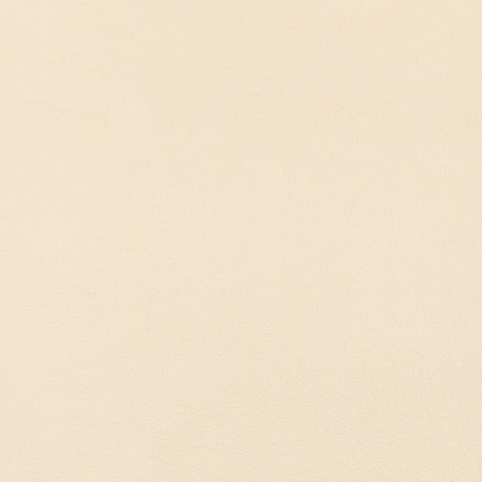 La-Z-Boy fabric swatch Samba Ivory (FL941932)