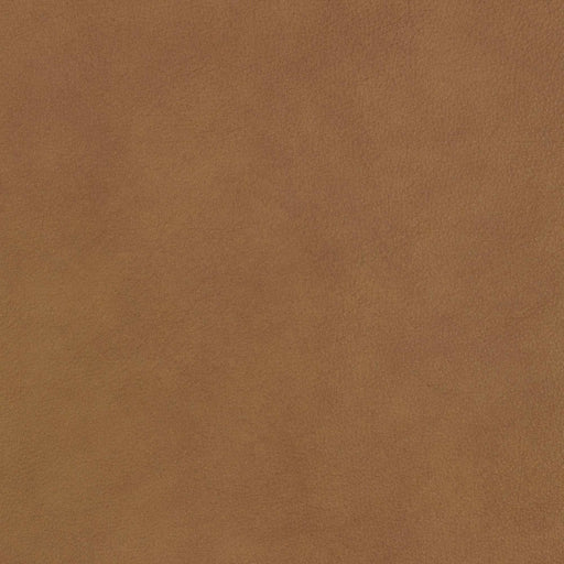 La-Z-Boy fabric swatch Ankur Oak (HL190673)