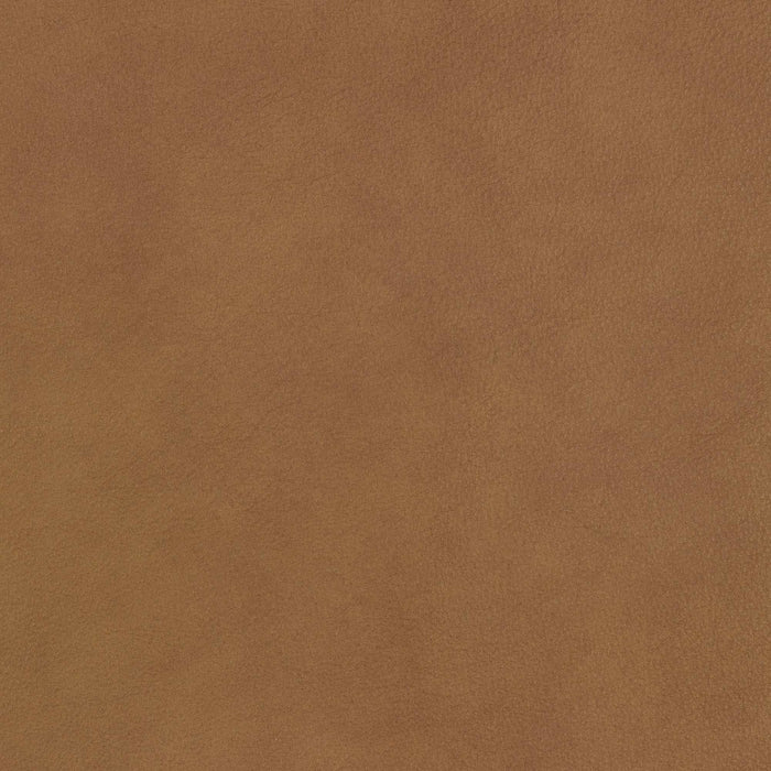 La-Z-Boy fabric swatch Ankur Oak (HL190673)