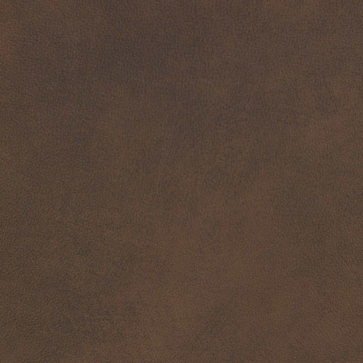 La-Z-Boy fabric swatch Ankur Brown (HL190677)