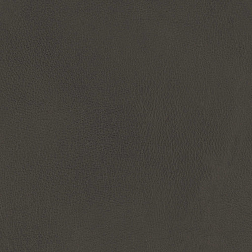 La-Z-Boy fabric swatch Yellowstone Charcoal (LB152056)