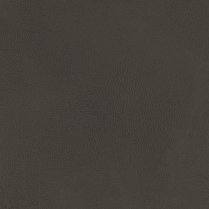 La-Z-Boy fabric swatch Yellowstone Charcoal (LB152056)
