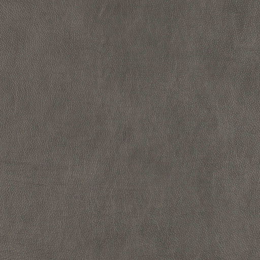La-Z-Boy fabric swatch Goshen Grey (LB172856)
